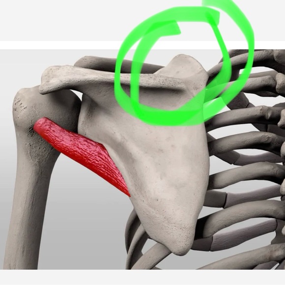 Waiting on next specialist🧿Malpractice Complications🧿 - Picture 4 of 11